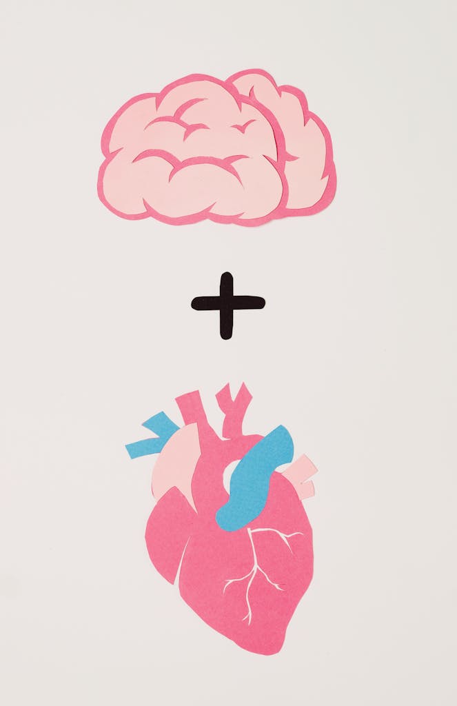 Artistic illustration symbolizing the balance of logic and emotion using brain and heart. Using the heart to rewire the brain after a breakup